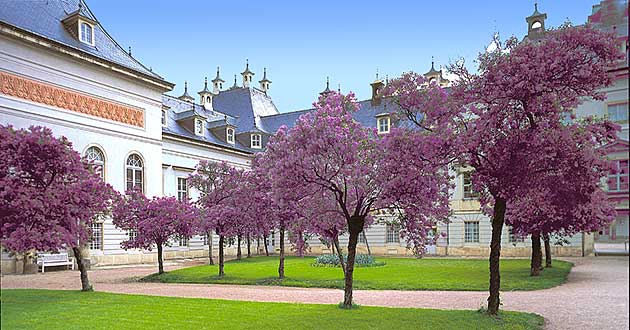 Urlaub im Advent in Dresden an der Elbe, Adventsurlaub in der Sommerresidenz der Sachsen-Knige mit Weihnachtsmarkt-Besuch