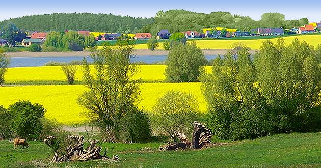 Urlaub im Advent in Mecklenburg-Vorpommern. Advent-Kurzurlaub am Rande des Naturschutzgebietes Lewitz.