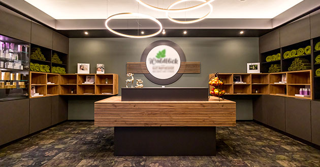 Urlaub im Advent in Ostbayern, Adventsurlaub in der Oberpfalz zwischen zwischen Amberg, Schwandorf, Regensburg, N�rnberg, Ingolstadt und M�nchen.